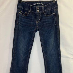 American Eagle Outfitters Artist Stretch Bootcut Flare Jeans